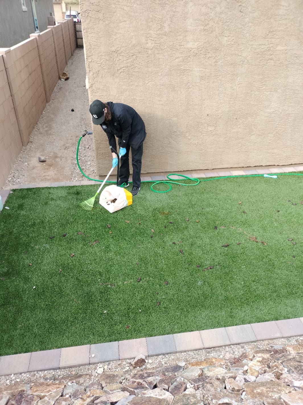 Family-friendly backyard with lawn and landscaping