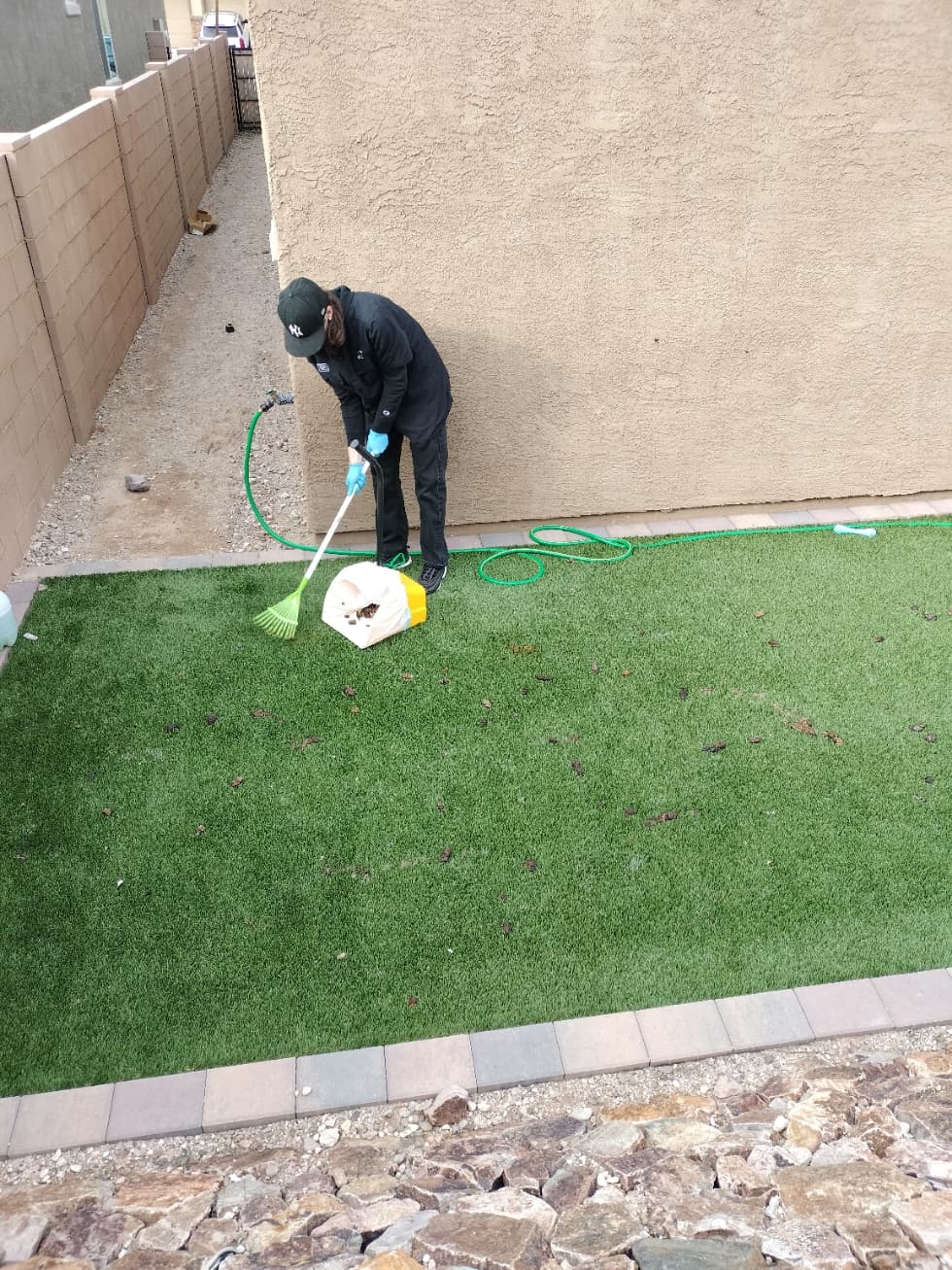 Large backyard with desert landscaping in Marana