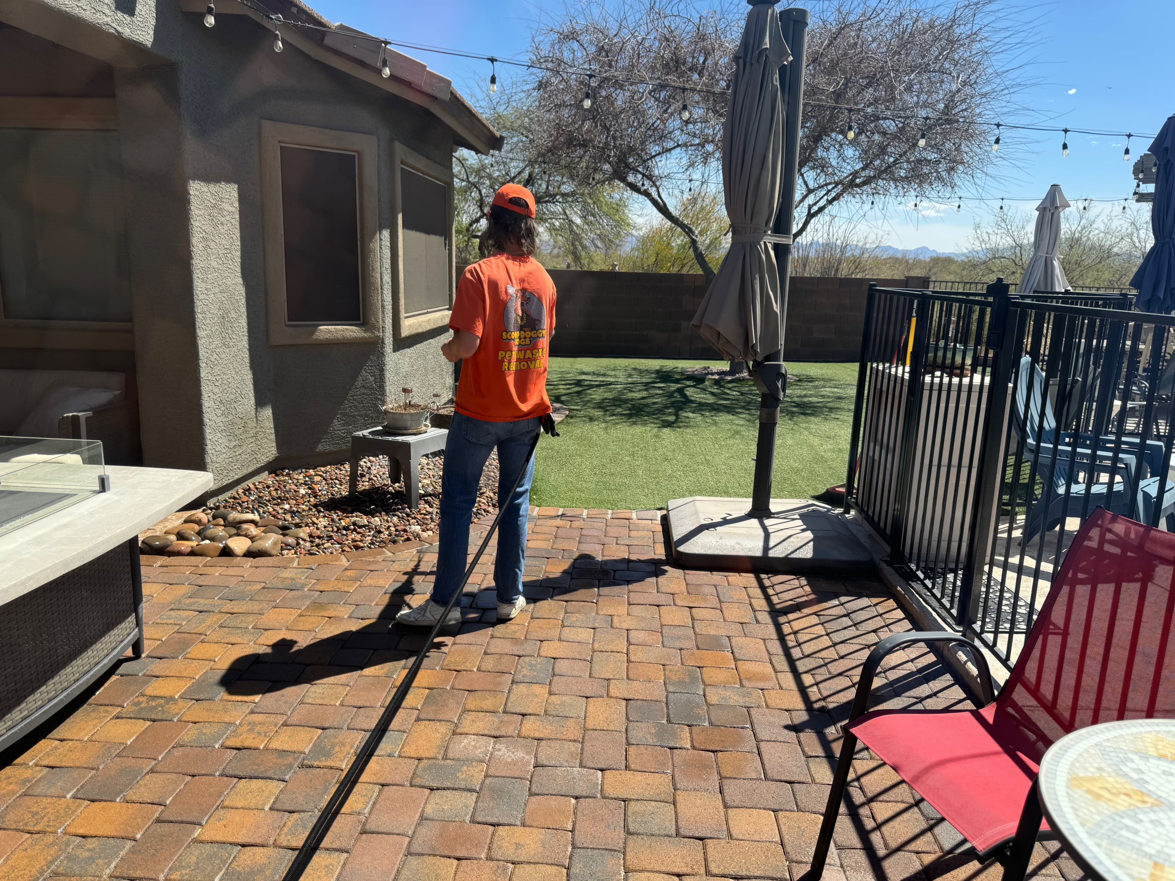 Crew member spraying yard sanitizer