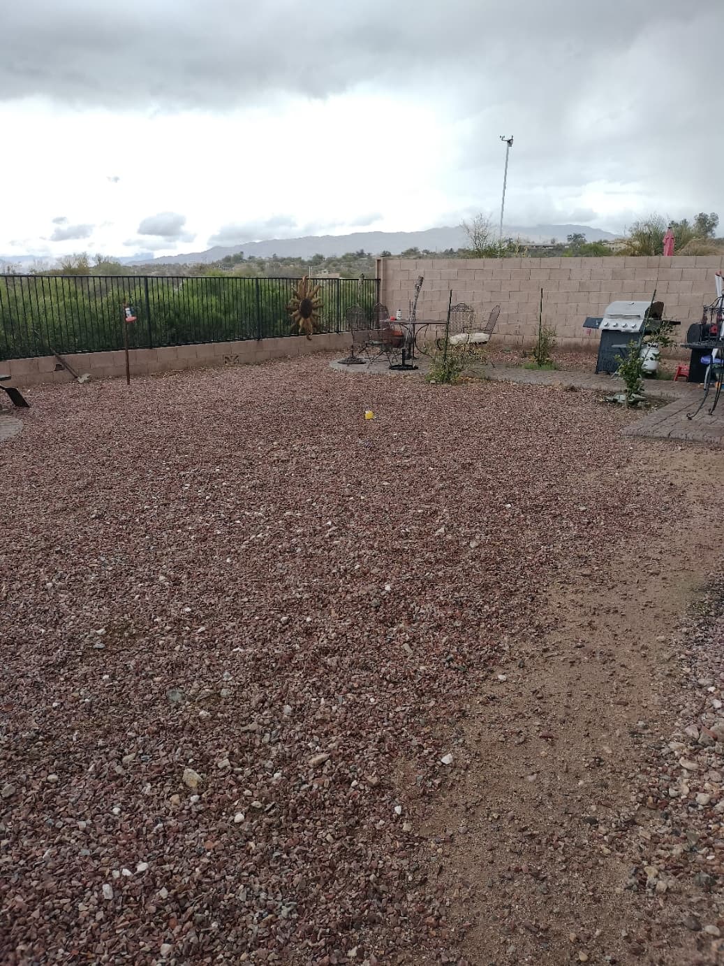 Tucson yard between every-other-week dog poop removal visits