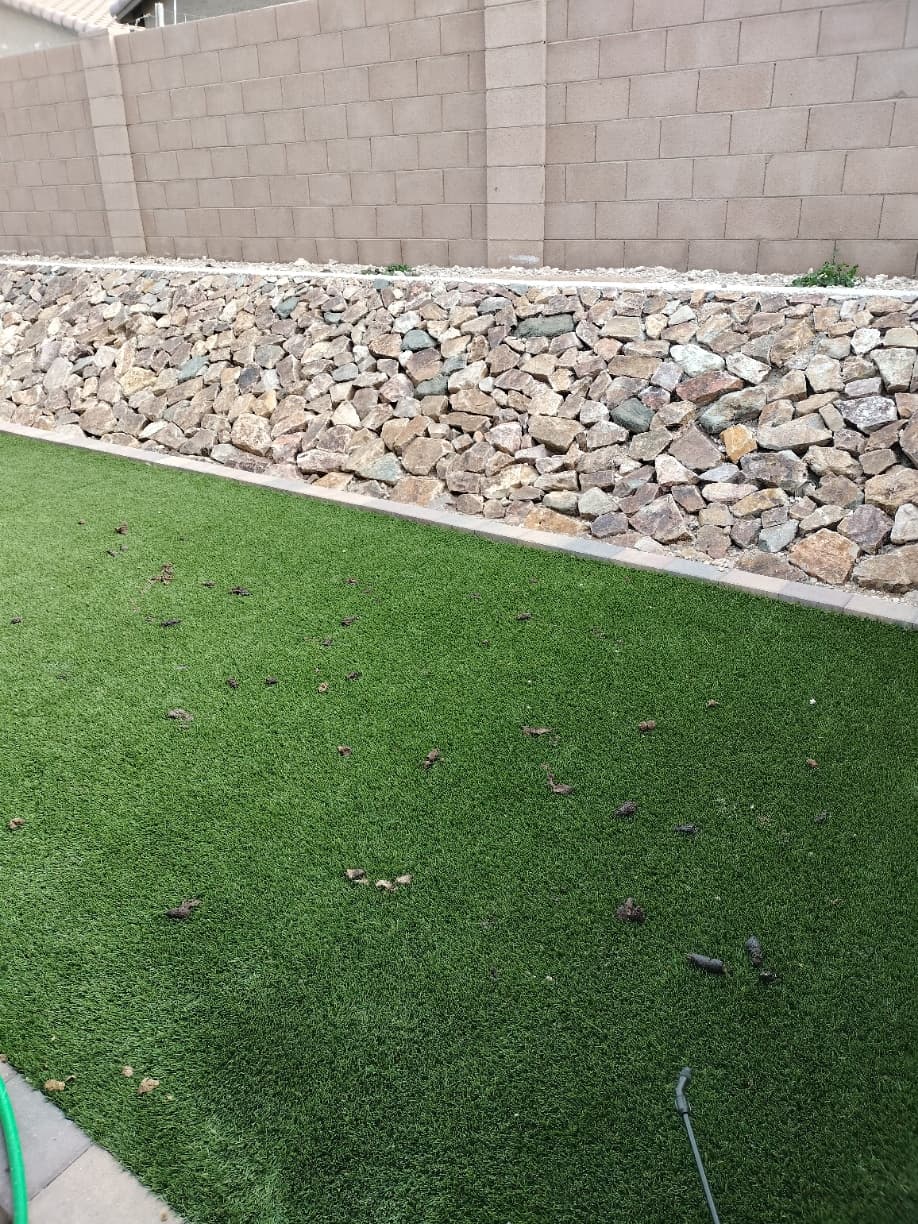 Desert backyard with turf and landscaping