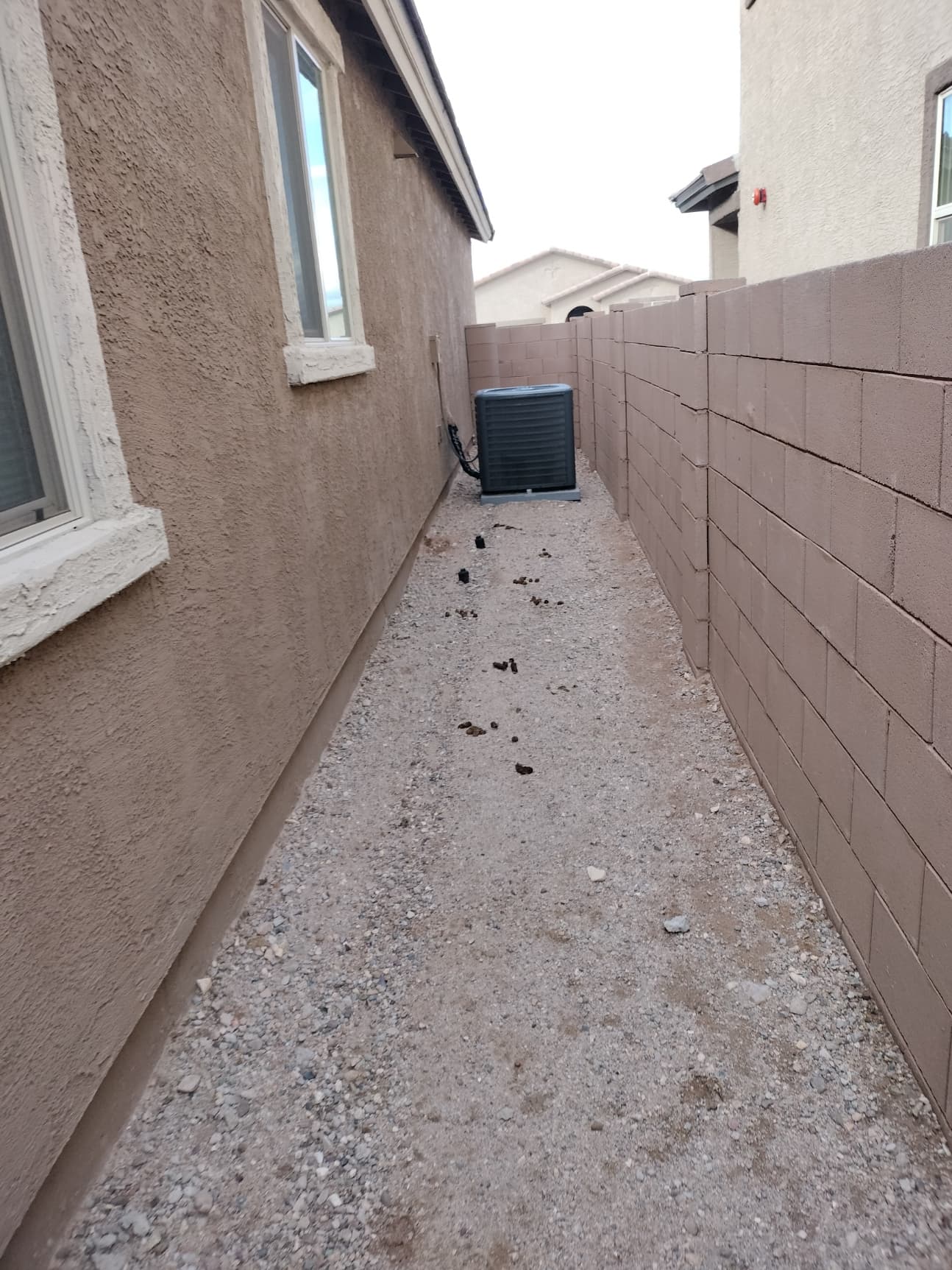 Small desert yard with pavers and landscaping