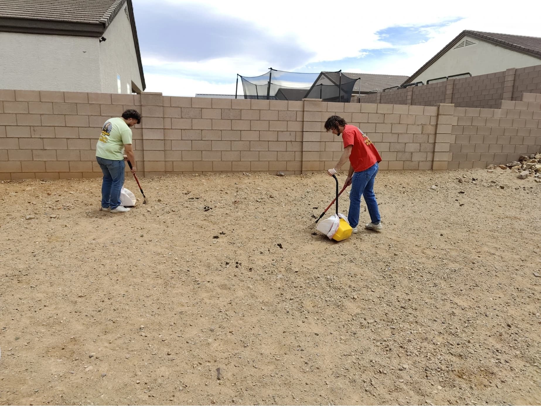 Clean Tucson backyard after weekly dog poop removal service
