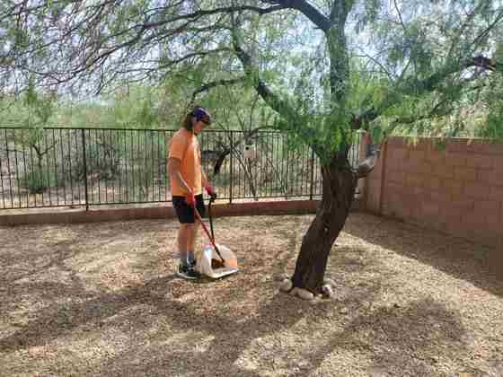 One-time yard reset by the Scoop Doggy Logs crew
