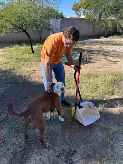 Twice-weekly cleanup by the Scoop Doggy Logs crew