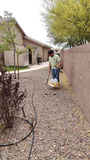 Every-other-week cleanup by the Scoop Doggy Logs crew